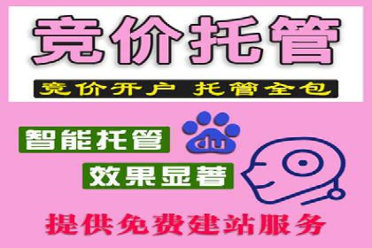 创新SEM竞价优化技术，提升广告效果案例分享